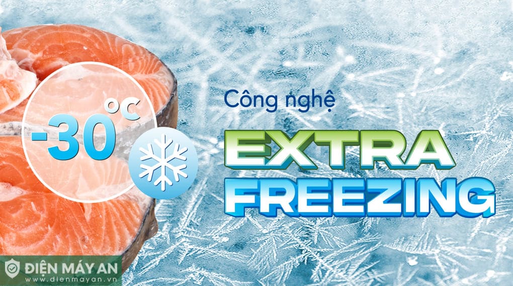 Tủ đông trưng bày Hòa Phát Inverter 451 lít HSF-AD8451.C1